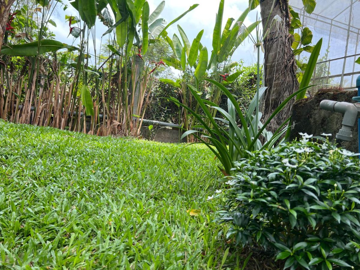 Tropical Garden Phu Quoc Apartment Exterior photo
